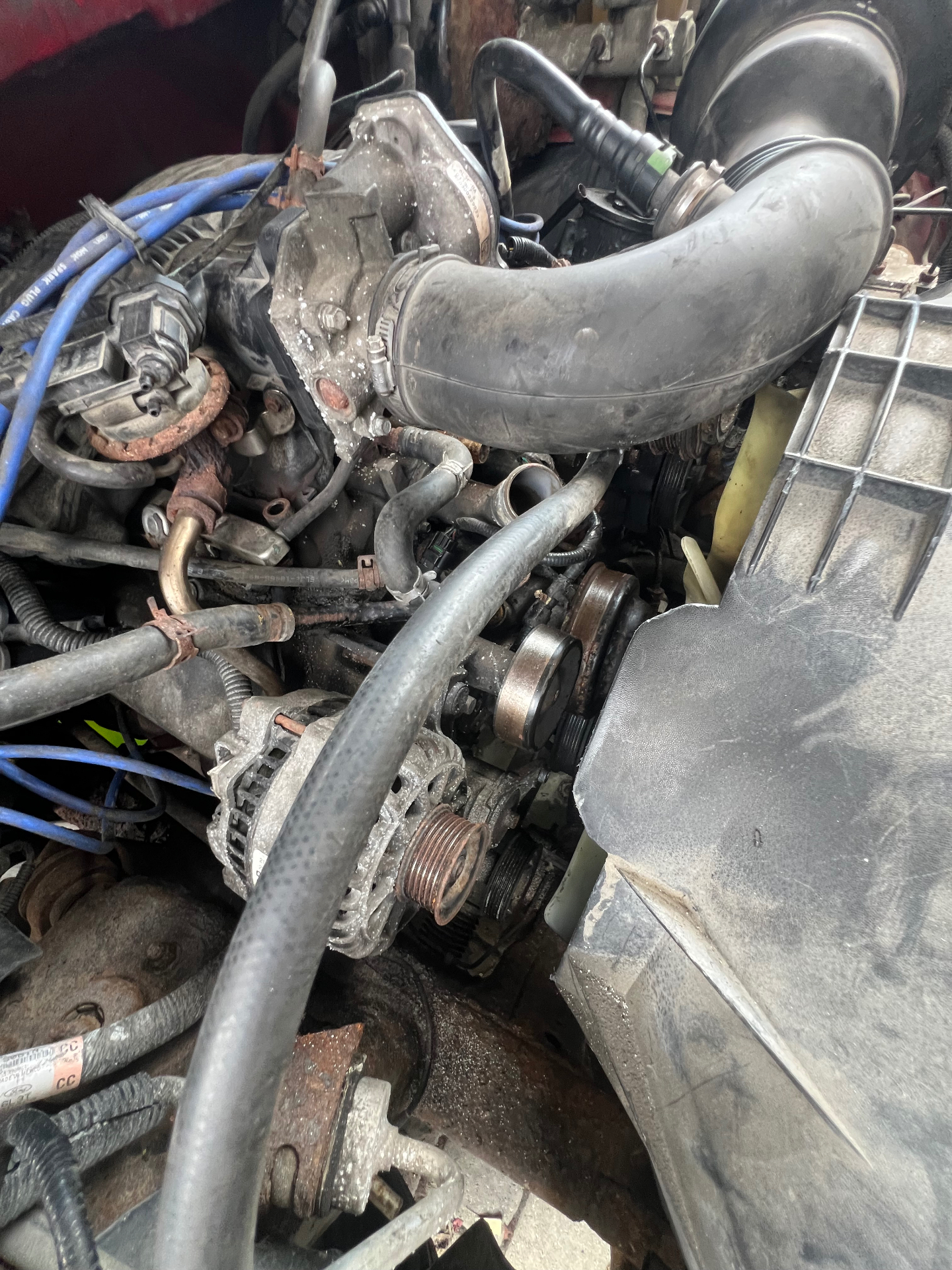 Air cleaner housing in photo: Belt and alternator close-up